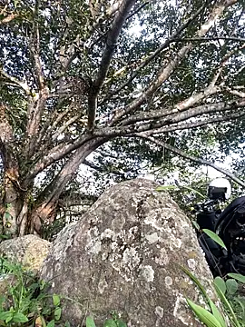 Maicol xxxx online show from 5, 3, 2026