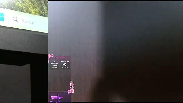 Shasapet online show from 11, 1, 2026