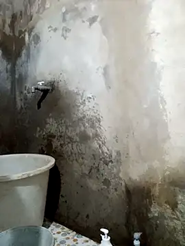 yula-bi online show from 30, 3, 2026