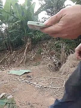 Menlike69 online show from 11, 1, 2026