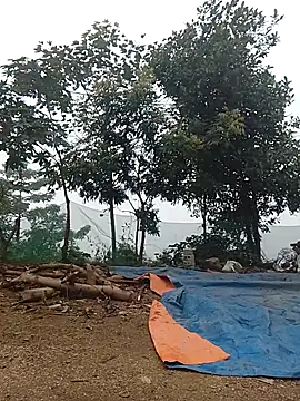 Menlike69 online show from 9, 1, 2026