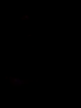 honorhorny online show from 5, 2, 2026