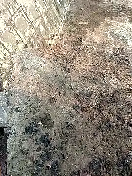 Tamilpaiyan07 online show from 8, 3, 2026