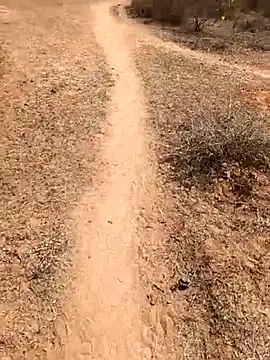 Snapshot of Tamilpaiyan07 chatting on 8, 2, 2026 Tamilpaiyan07 online show from 8, 2, 2026