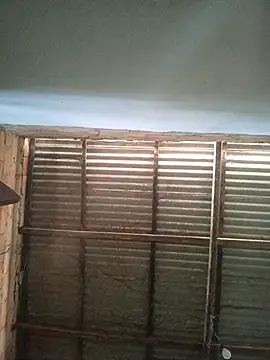 gingavi online show from 6, 1, 2026