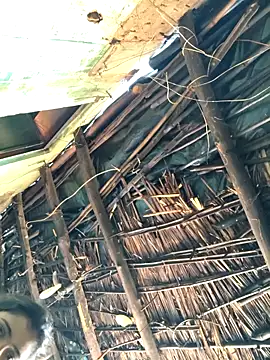 Madhu cute online show from 16, 2, 2026