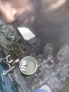 hydhunk26 online show from 17, 2, 2026