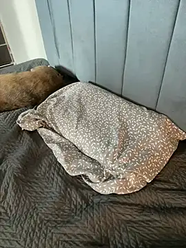 Sofii unicorn online show from 9, 4, 2026