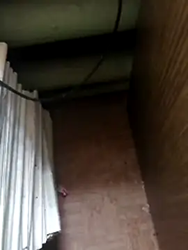 Tata and Joker online show from 10, 4, 2026