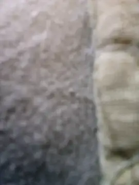 FragrantToe529 online show from 16, 2, 2026