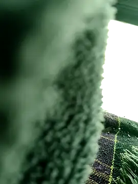 Hot2602 online show from 18, 4, 2026