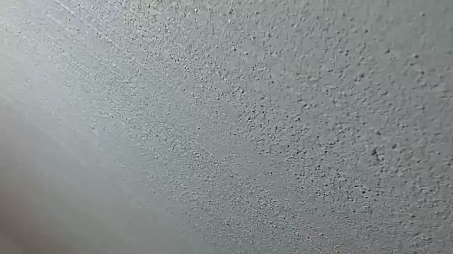 BlendyLady online show from 13, 1, 2026