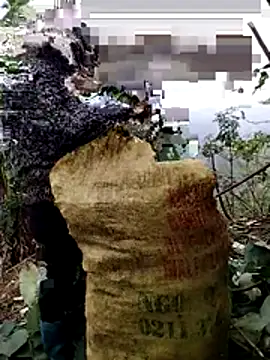 galaxy898 online show from 6, 1, 2026