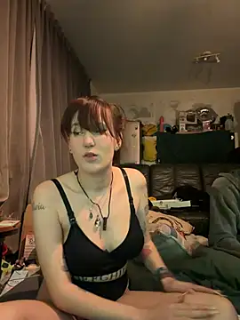 MisterandNiffyNoon online show from 12, 2, 2026