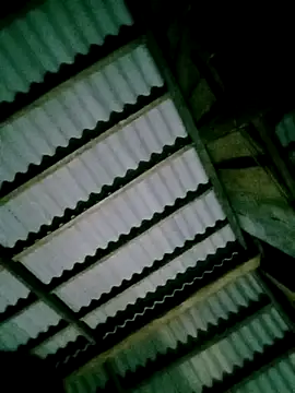 DIANAKUTE online show from 7, 4, 2026