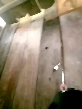 DIANAKUTE online show from 10, 3, 2026