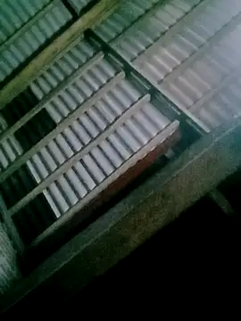 DIANAKUTE online show from 12, 2, 2026