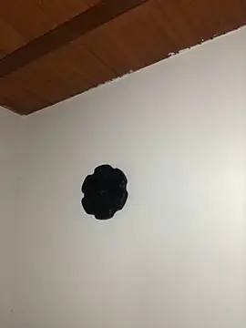 seth c online show from 21, 3, 2026