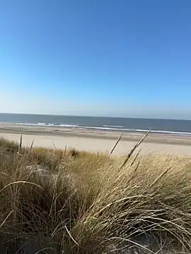 friemeldepiemel online show from 5, 3, 2026