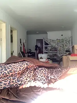 Qidandan778 online show from 7, 2, 2026