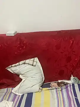 Qidandan778 online show from 14, 2, 2026