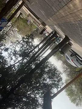 Qidandan778 online show from 12, 4, 2026