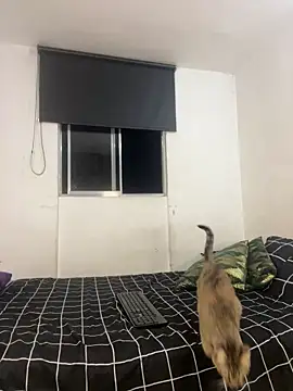 itselladoll online show from 22, 2, 2026