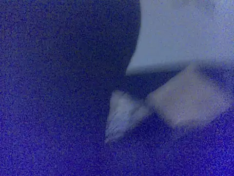 Babyboo3620 online show from 14, 3, 2026