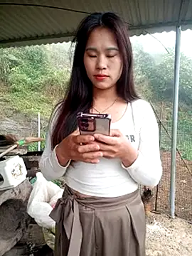 congchua977 online show from 7, 3, 2026