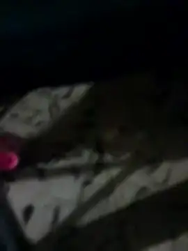 Antras92 online show from 12, 1, 2026