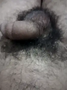 EchoedPerusing online show from 26, 3, 2026