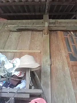 dakota-kis online show from 11, 4, 2026