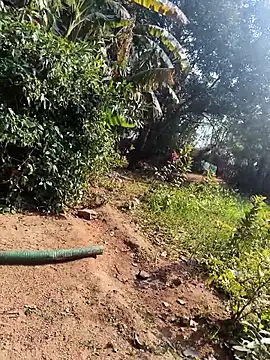 janbi sexe online show from 14, 1, 2026