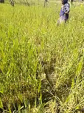 hornycouple20000 online show from 14, 1, 2026