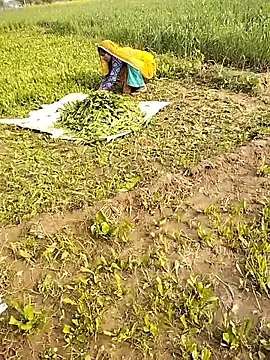 hornycouple20000 online show from 10, 1, 2026