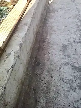 hornycouple20000 online show from 7, 3, 2026