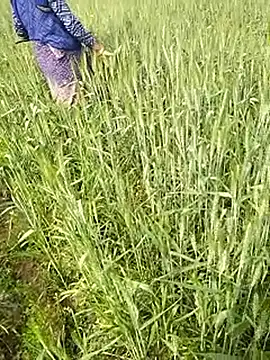 Snapshot of hornycouple20000 chatting on 1, 2, 2026 hornycouple20000 online show from 1, 2, 2026