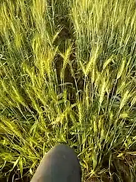 Snapshot of hornycouple20000 chatting on 21, 2, 2026 hornycouple20000 online show from 21, 2, 2026