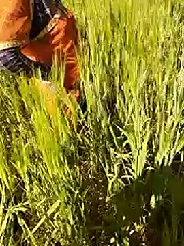 hornycouple20000 online show from 15, 1, 2026