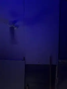 Bigbrowneyes25 online show from 9, 3, 2026