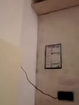 obediente23 online show from 9, 1, 2026