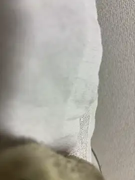 maonyan6 online show from 13, 2, 2026