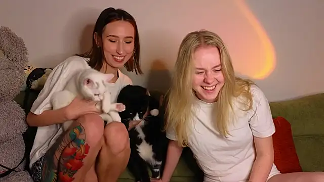 Mimipaws online show from 5, 1, 2026