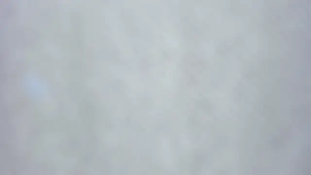 kiyoko yun online show from 3, 4, 2026