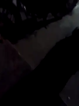 daksh  8 inche online show from 4, 4, 2026