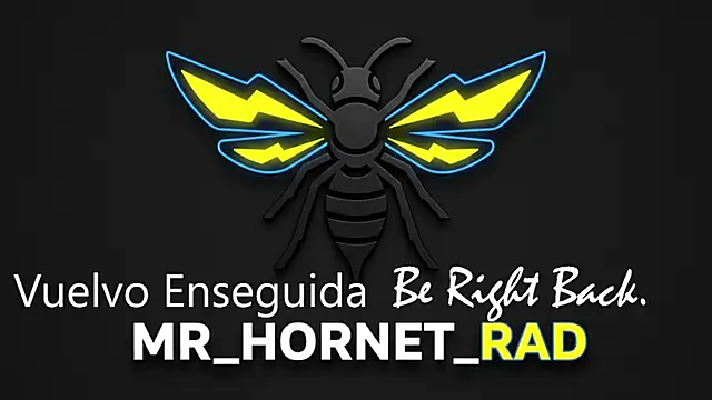 s hornet online show from 4, 5, 2026