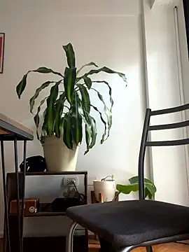 Snapshot of Chubandchaser chatting on 8, 1, 2026 Chubandchaser online show from 8, 1, 2026