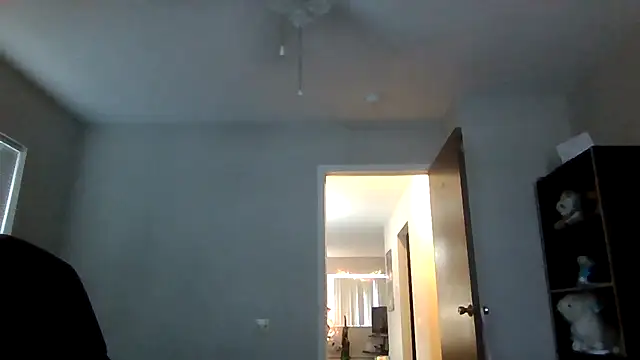 BradyFurness online show from 7, 1, 2026