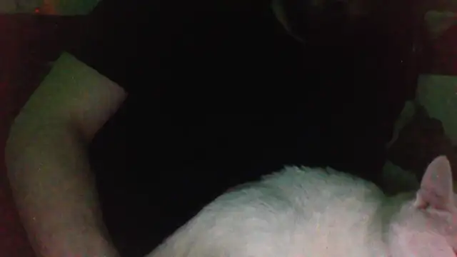 KaelNox online show from 31, 3, 2026