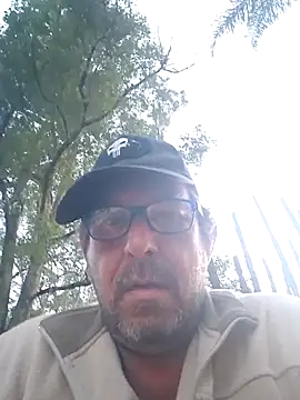 palmview2 online show from 25, 5, 2026